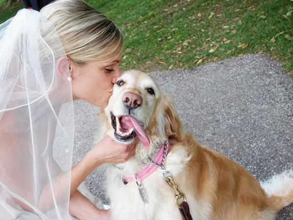 പട്ടിക്കല്യാണം