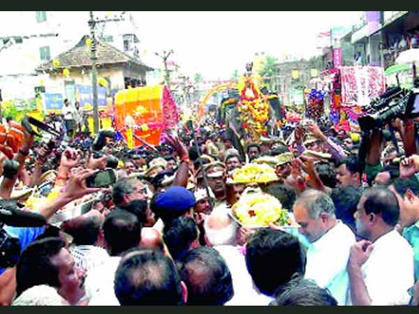 വെള്ളക്കുതിര