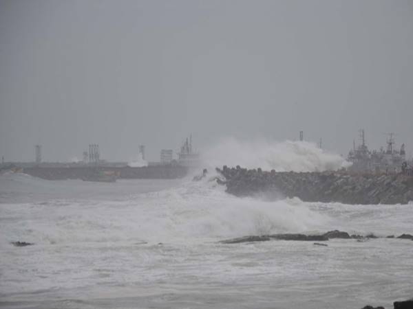വാക്കിന്റെ ഉത്ഭവം വാക്കിന്റെ ഉത്ഭവം