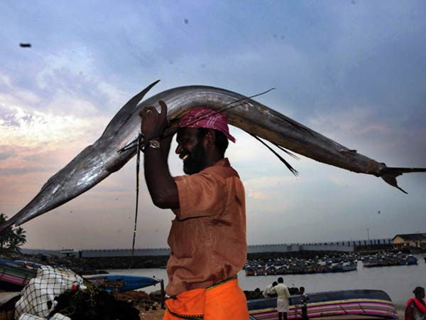 കടല്‍ കനിഞ്ഞു