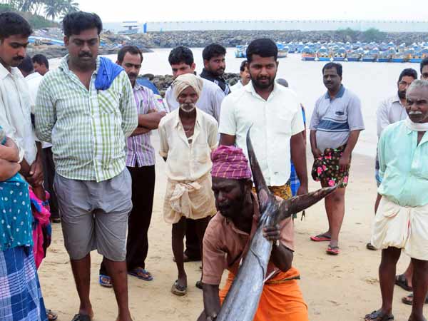 തലയിലേറ്റാം