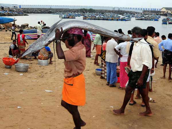 എന്തൊരു സന്തോഷം