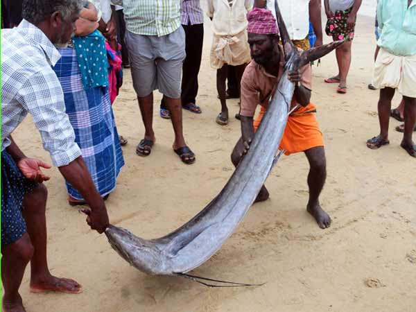 എന്തൊരു നീളം