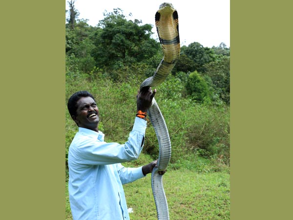 ഇപ്പോള് കൊത്തുമോ ഇപ്പോള് കൊത്തുമോ