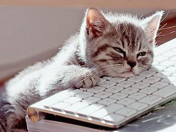 അലസന്‍, അലസവിലാസന്‍