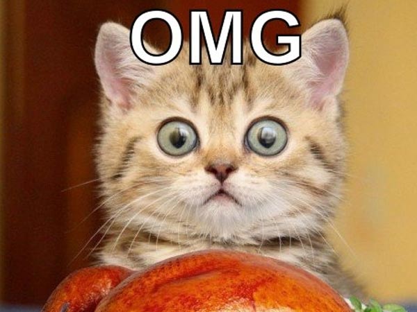 ഡ്രാമാ ക്വീന്‍