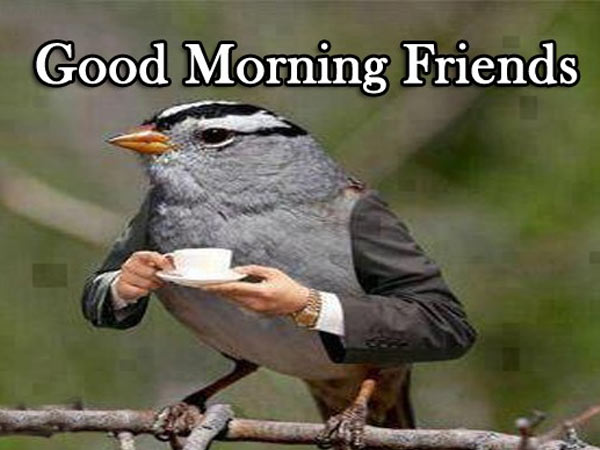 സുപ്രഭാതം