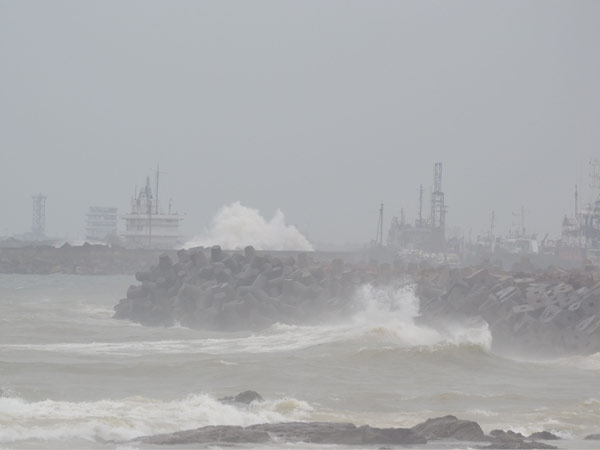  നാശത്തിന്റെ കാറ്റ്