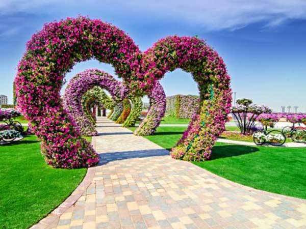 മിറാക്കിള്‍ ഗാര്‍ഡന്‍