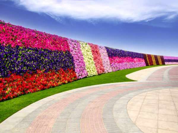  പൂക്കാലം