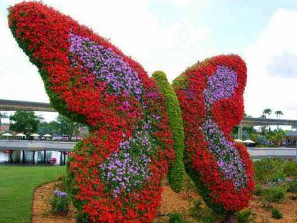 ശലഭ പാര്‍ക്ക്