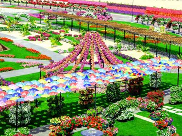  ഇനിയുമുണ്ട് കാഴ്ചകള്‍