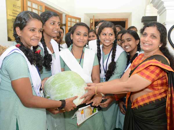 സ്‌മൈല്‍ പള്സ്