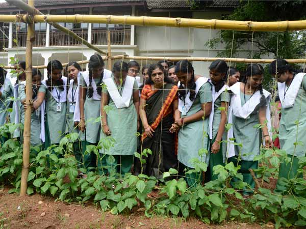  അടുക്കളതോട്ടം