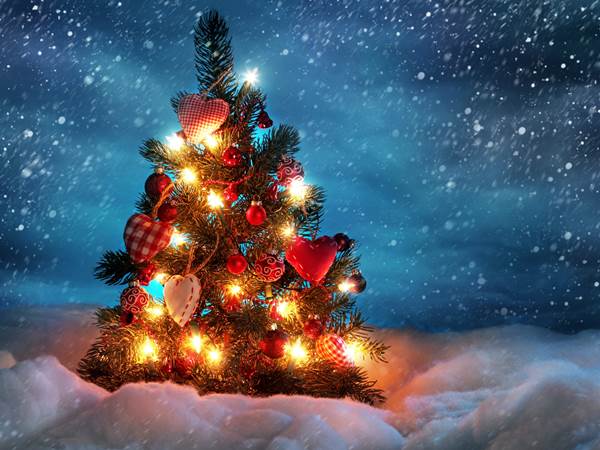 ഡിസംബര്‍ 25