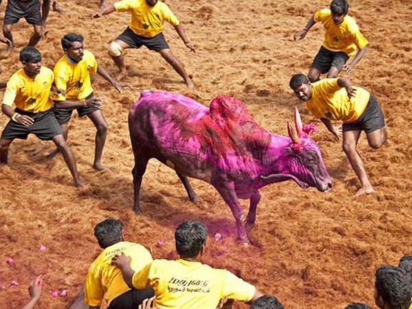 മധുരയില്‍