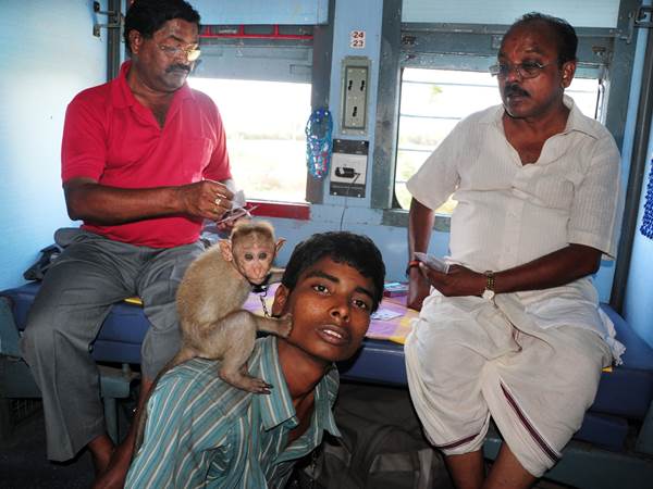 എങ്ങനെയുണ്ട്