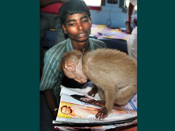 ലാല്‍ ജോസിന്റെ പുതിയ ചിത്രമേതാണെന്ന് നോക്കട്ടെ