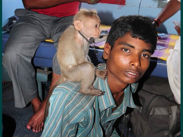 തലയില്‍ പേനുണ്ടോ