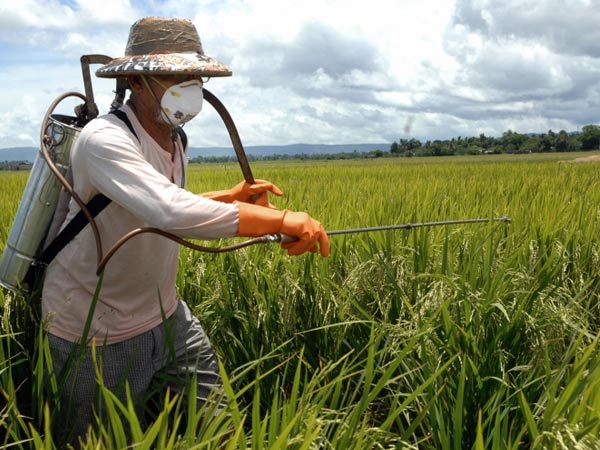 കീടനാശിനി കീടനാശിനി