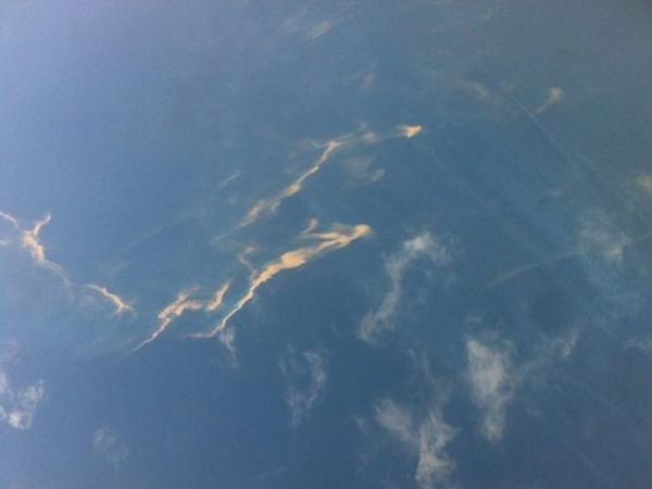 വെറുതെ ഒരു ഉഡായിപ്പ്‌