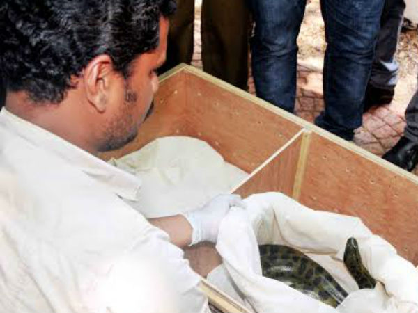  പ്രദര്‍ശനം