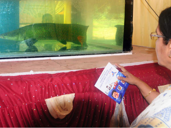 ഭാഗ്യദേവത