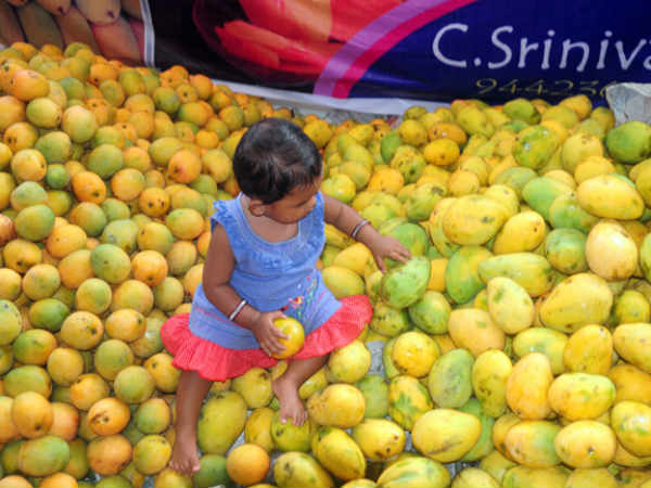 മാങ്ങാക്കുട്ടി