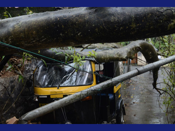 ഓട്ടോയ്ക്ക് രക്ഷയില്ല