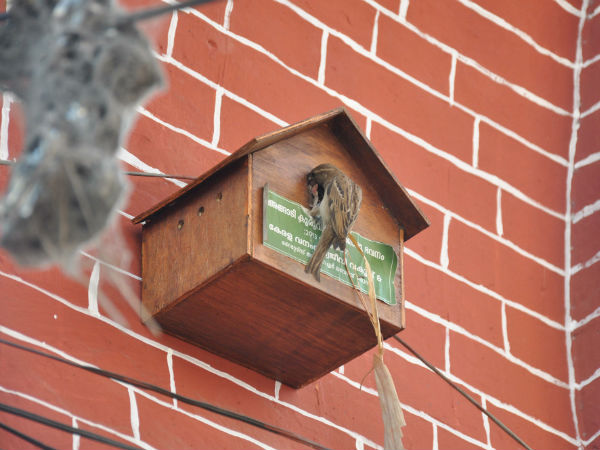 സുഖവാസം