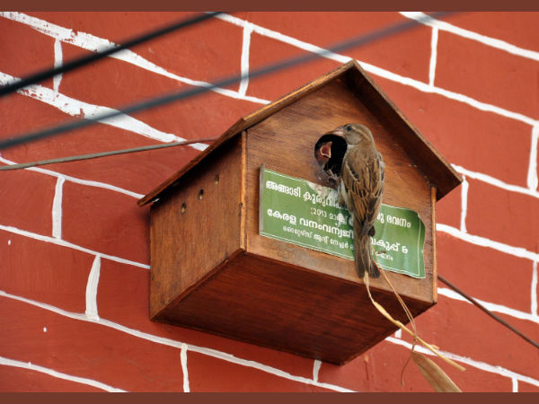 കൂടും കുടുംബവും ആയി