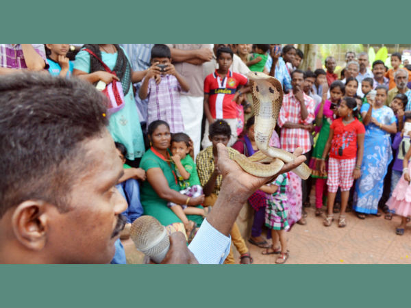 മൃഗശാലയില്‍