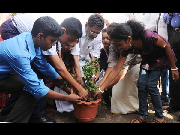 ലോക പരിസ്ഥിതി ദിനം