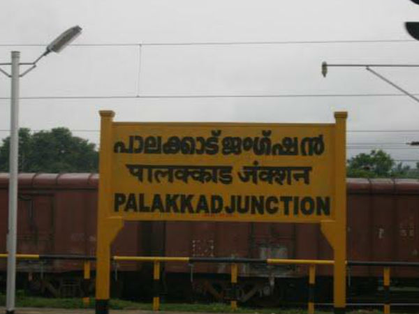  ഇതെന്താ കോഴിക്കുഞ്ഞുങ്ങളോ?