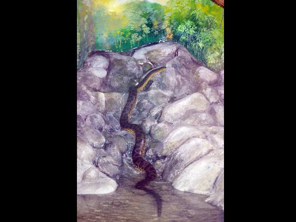 തിരുവനന്തപുരം മൃഗശാല