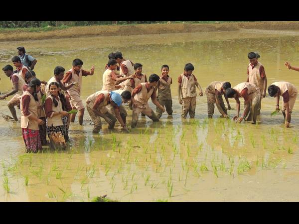 നമ്മളും കൊയ്യും വയലെല്ലാം 