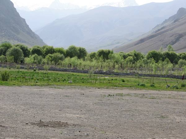 കാര്‍ഗില്‍ യുദ്ധം