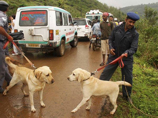 മണം പിടിക്കാന്‍