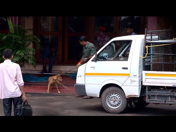 കൂട്ടിലാക്കും