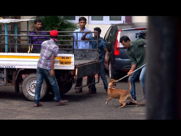 റസ്റ്റെടുക്കണം