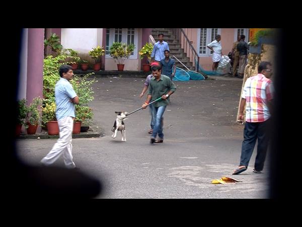 പൈലറ്റ് പരിപാടി