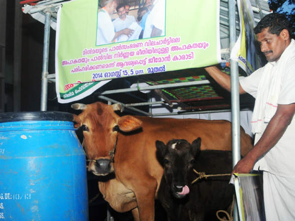 പശുവും പശുക്കുട്ടിയും