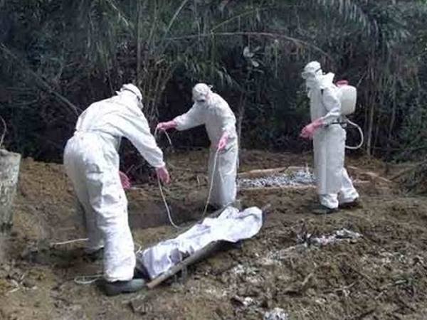 മൃതദേഹവും