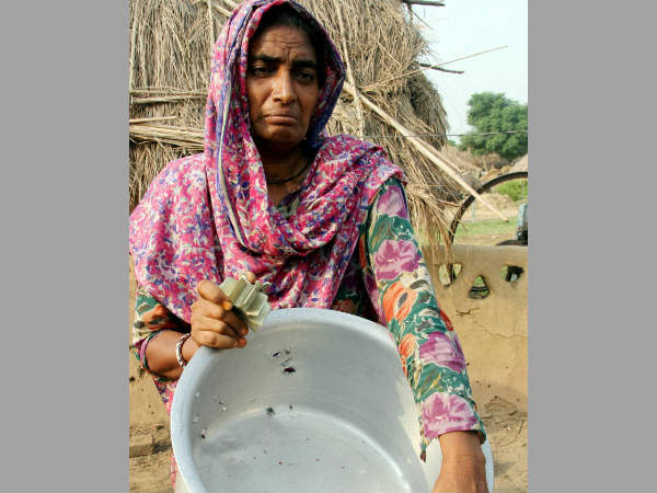 വീട്ടിലെത്തിയ ഷെല്ലുകള്‍