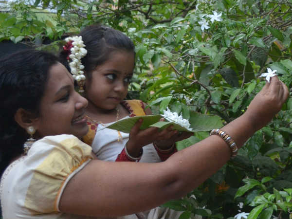 പൂക്കളേറുന്നു