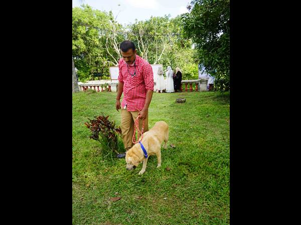 സുരക്ഷക്ക് കുറവില്ല