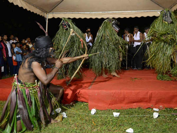 കരടികള്‍