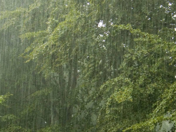 മൗസിന്‍ റാമിലെ മഴ