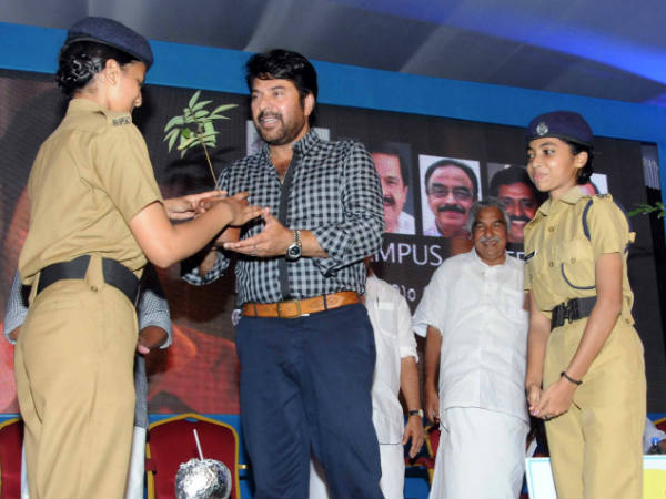 വൃക്ഷത്തൈ