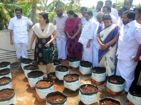 ടെറസിലും